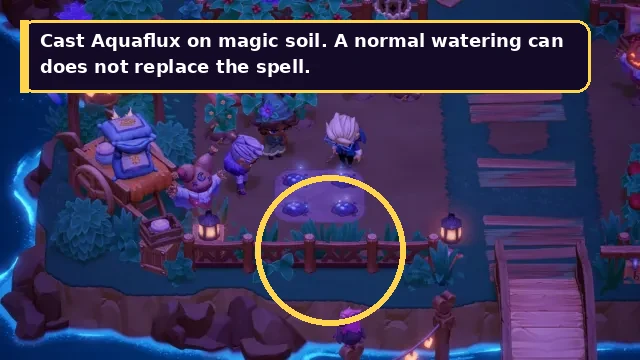 Annotated Aquaflux casting screenshot