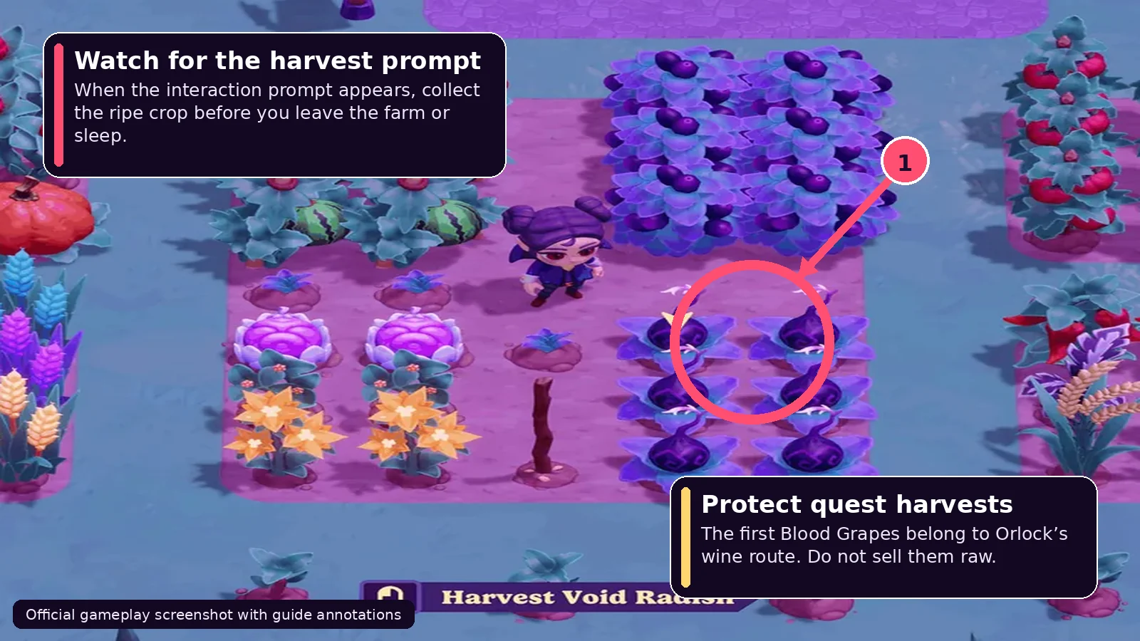 Moonlight Peaks gameplay context for Bottomless Chester